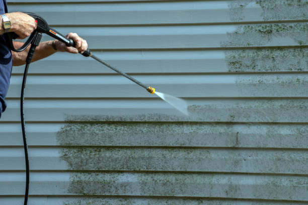 Best Gutter Cleaning and Brightening in Kaukauna, WI